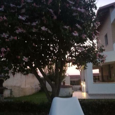 La Casa Delle Farfalle Bed & Breakfast Syracuse المظهر الخارجي الصورة