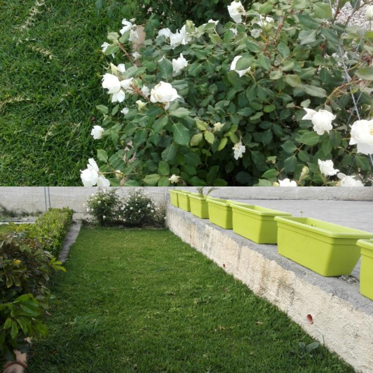 La Casa Delle Farfalle Bed & Breakfast Syracuse المظهر الخارجي الصورة