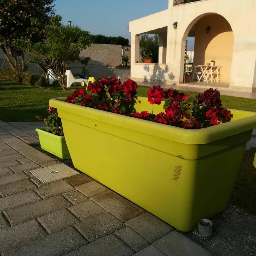 La Casa Delle Farfalle Bed & Breakfast Syracuse المظهر الخارجي الصورة
